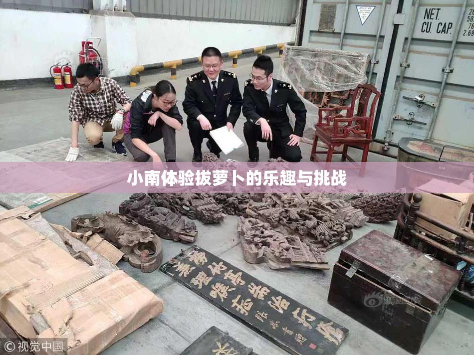 小南体验拔萝卜的乐趣与挑战
