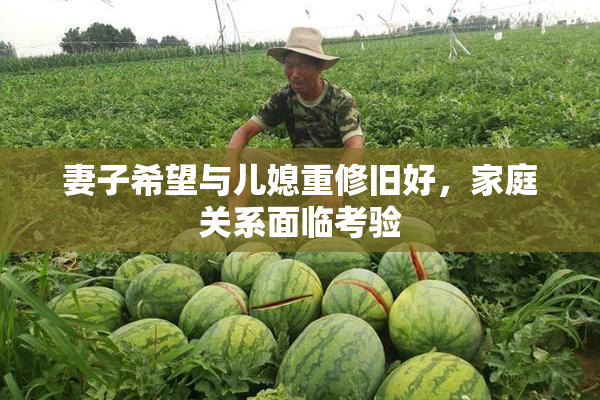 妻子希望与儿媳重修旧好，家庭关系面临考验