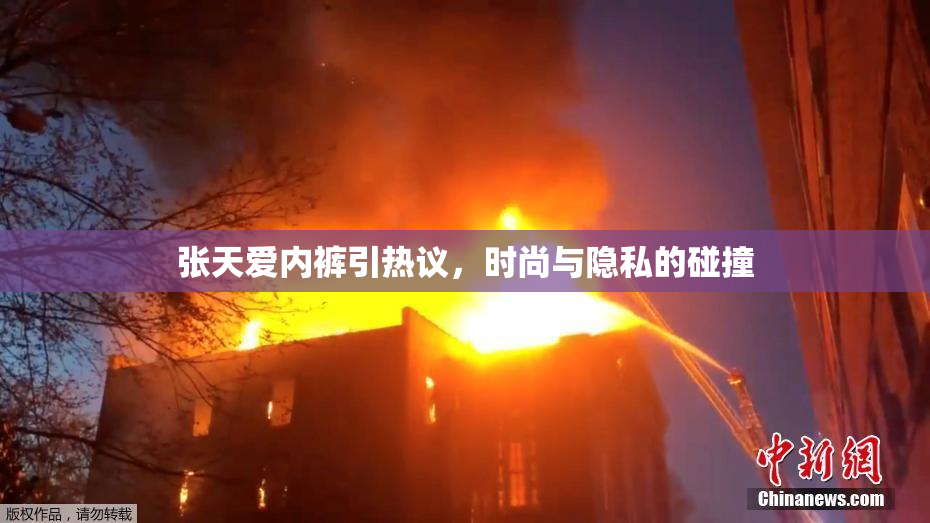 张天爱内裤引热议，时尚与隐私的碰撞