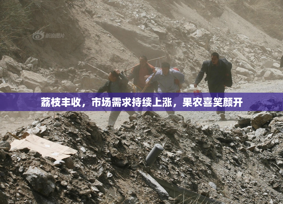荔枝丰收，市场需求持续上涨，果农喜笑颜开