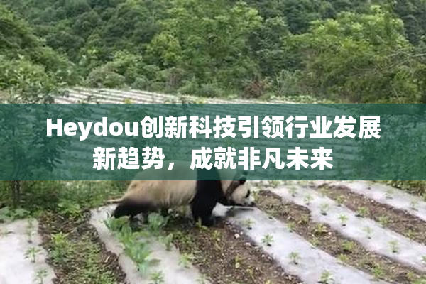 Heydou创新科技引领行业发展新趋势，成就非凡未来