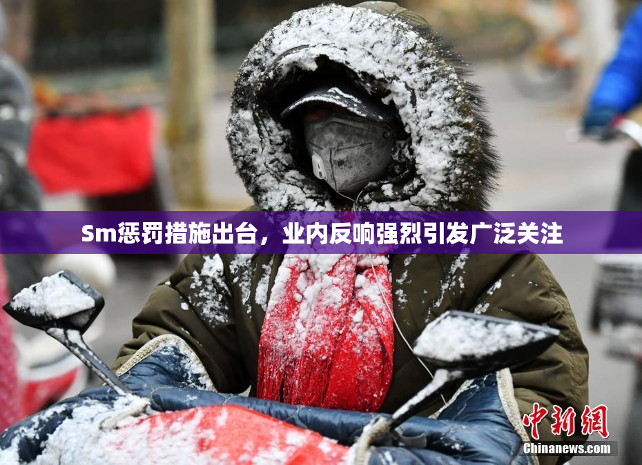Sm惩罚措施出台，业内反响强烈引发广泛关注