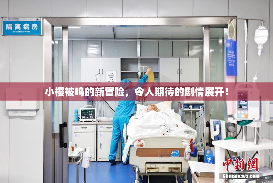 小樱被鸣的新冒险，令人期待的剧情展开！