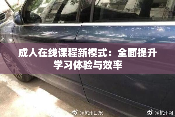 成人在线课程新模式：全面提升学习体验与效率
