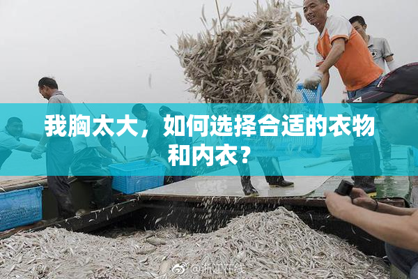 我胸太大，如何选择合适的衣物和内衣？