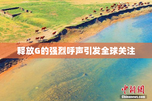 释放G的强烈呼声引发全球关注