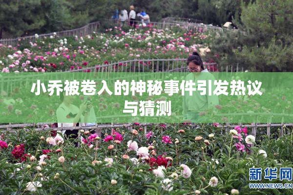 小乔被卷入的神秘事件引发热议与猜测