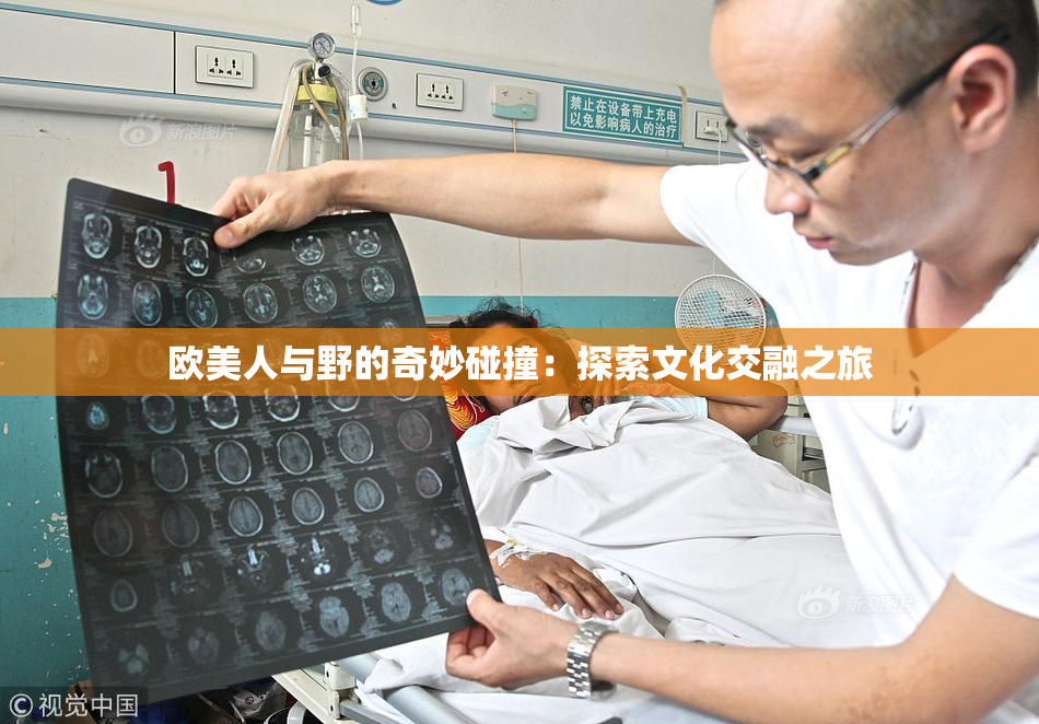 欧美人与野的奇妙碰撞：探索文化交融之旅