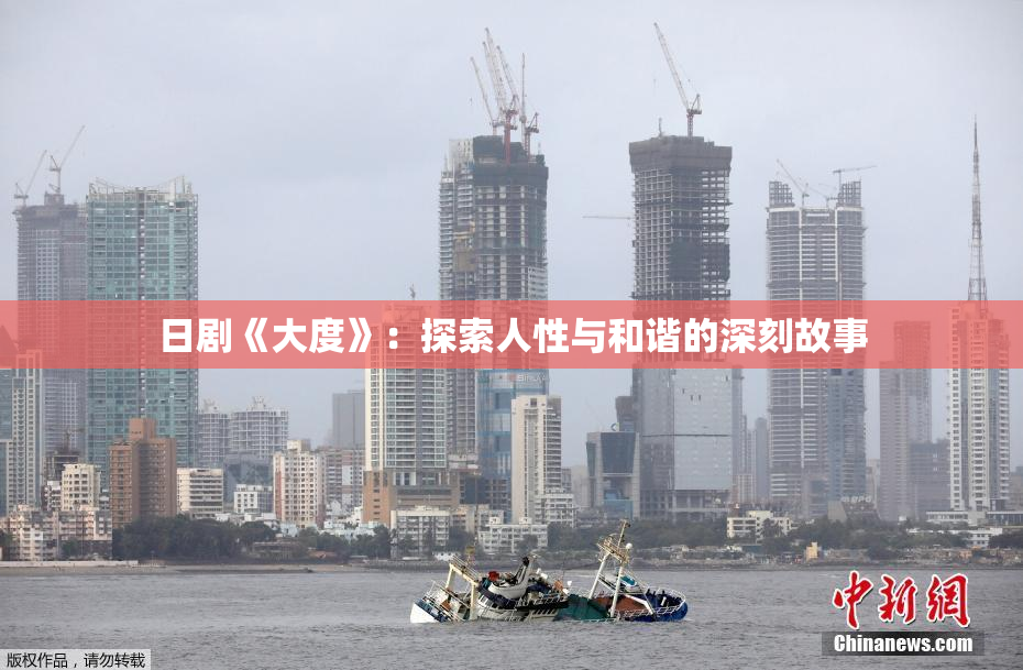 日剧《大度》：探索人性与和谐的深刻故事