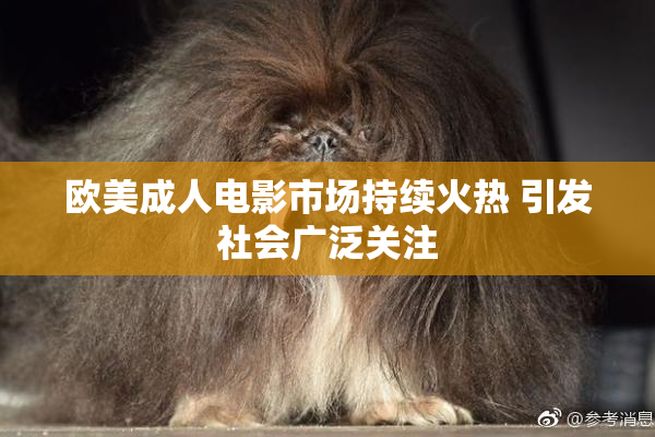 欧美成人电影市场持续火热 引发社会广泛关注