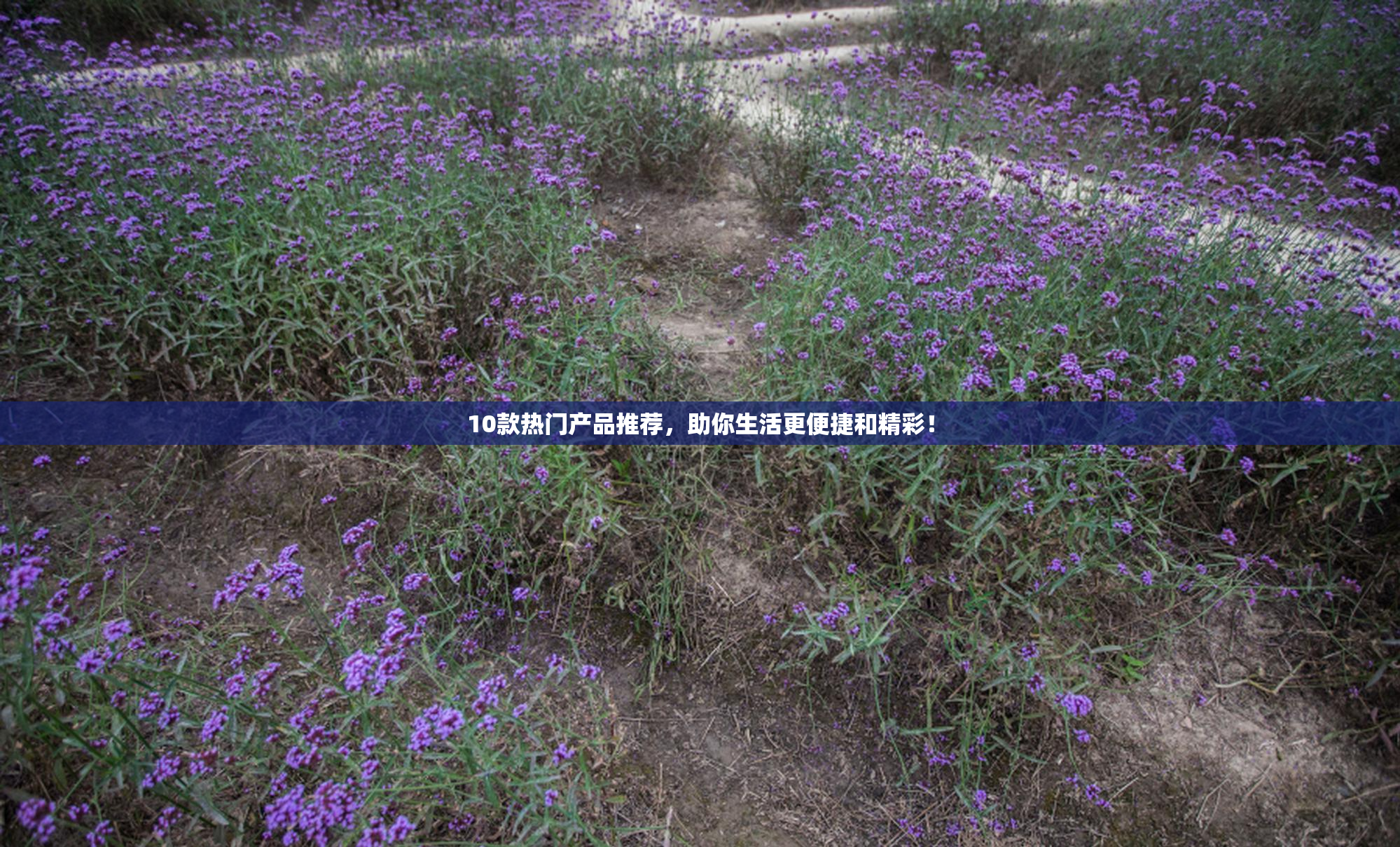 10款热门产品推荐，助你生活更便捷和精彩！