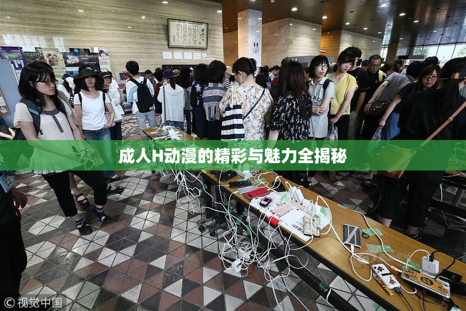 成人H动漫的精彩与魅力全揭秘