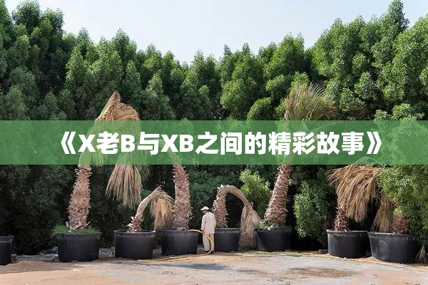 《X老B与XB之间的精彩故事》