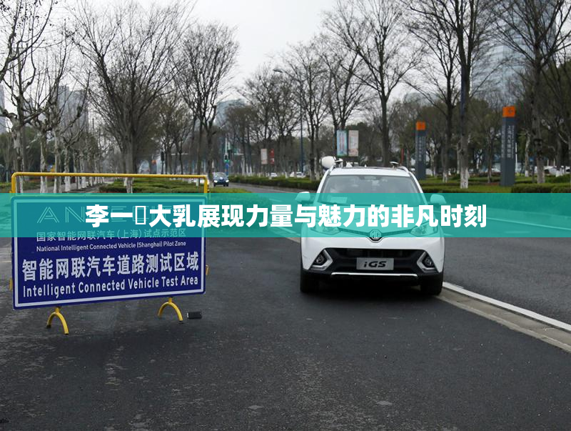 李一挏大乳展现力量与魅力的非凡时刻