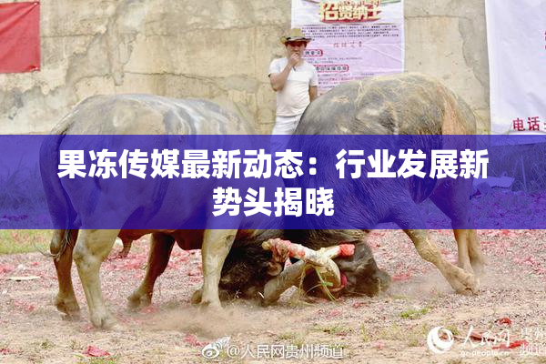 果冻传媒最新动态：行业发展新势头揭晓
