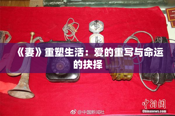 《妻》重塑生活：爱的重写与命运的抉择
