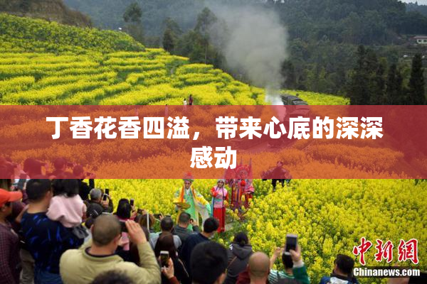丁香花香四溢，带来心底的深深感动