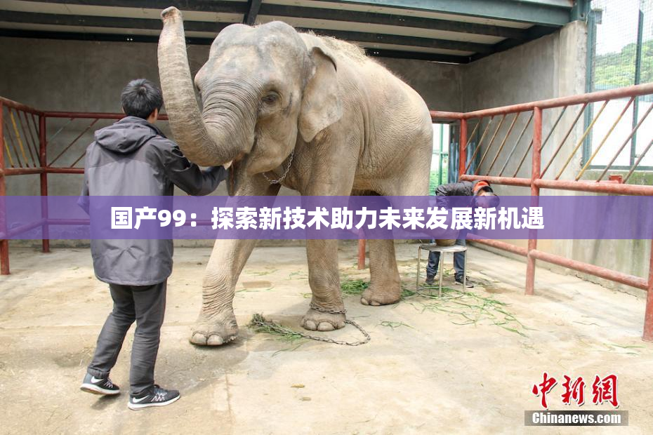 国产99：探索新技术助力未来发展新机遇