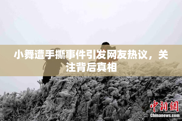 小舞遭手撕事件引发网友热议，关注背后真相