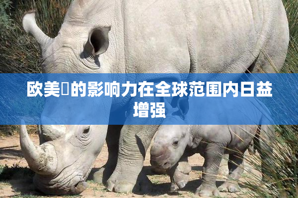 欧美巜的影响力在全球范围内日益增强