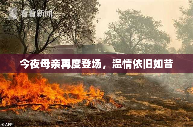 今夜母亲再度登场，温情依旧如昔