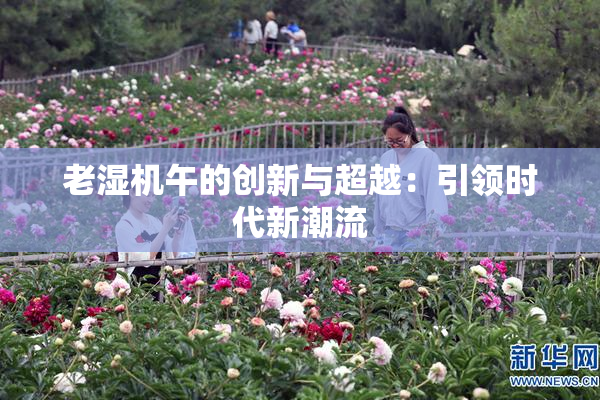 老湿机午的创新与超越：引领时代新潮流