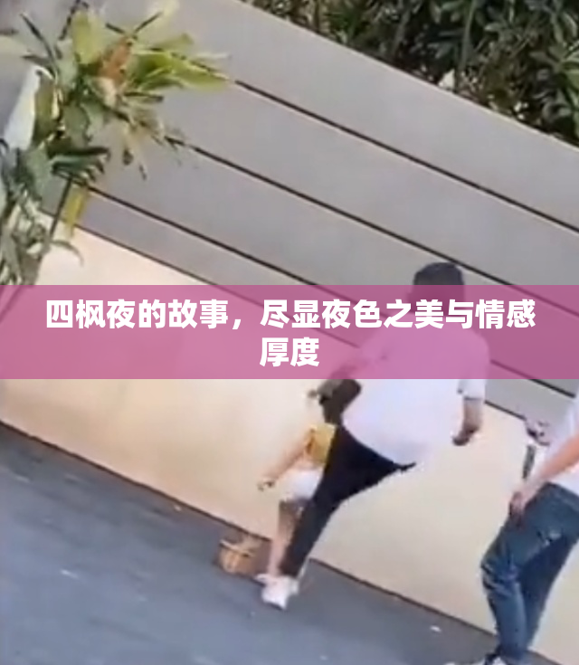 四枫夜的故事，尽显夜色之美与情感厚度