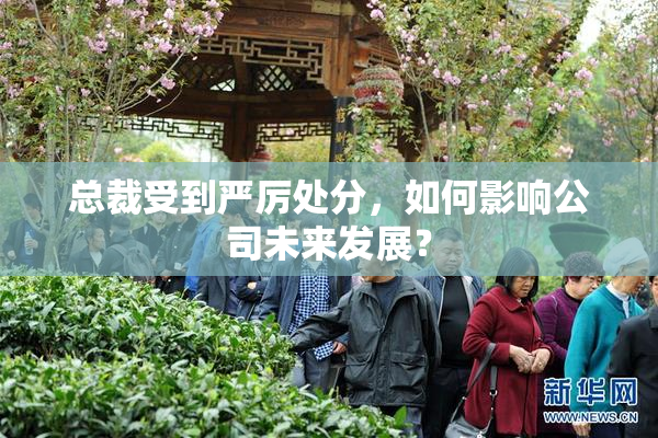 总裁受到严厉处分，如何影响公司未来发展？