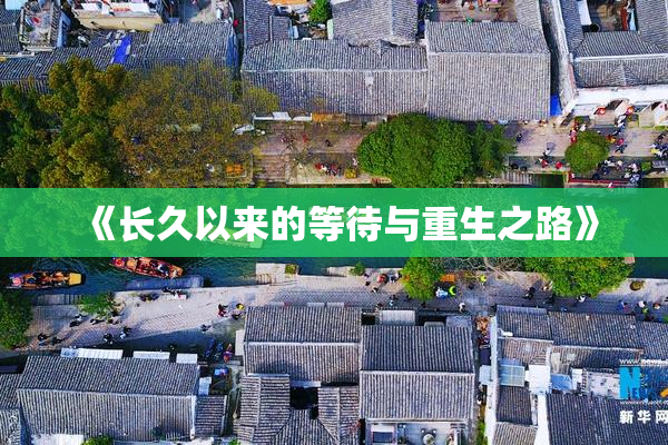《长久以来的等待与重生之路》