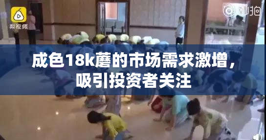 成色18k蘑的市场需求激增，吸引投资者关注