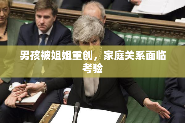 男孩被姐姐重创，家庭关系面临考验