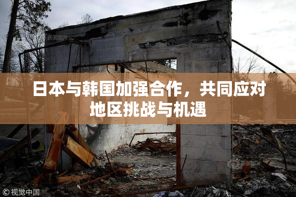 日本与韩国加强合作，共同应对地区挑战与机遇