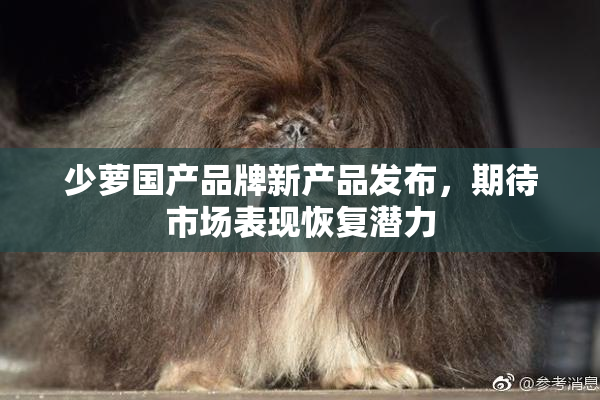 少萝国产品牌新产品发布，期待市场表现恢复潜力