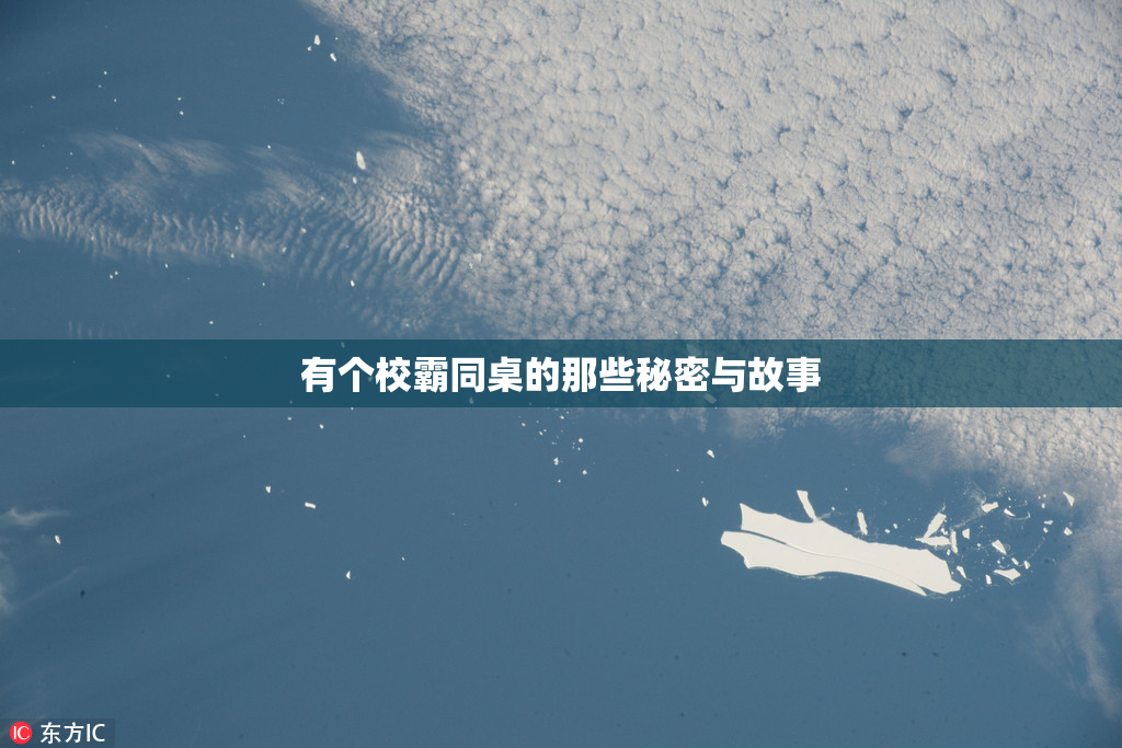 有个校霸同桌的那些秘密与故事