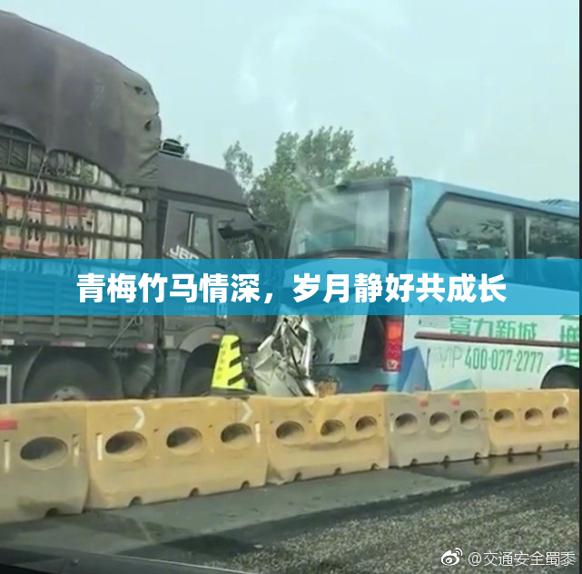 青梅竹马情深，岁月静好共成长