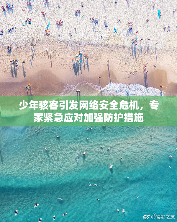 少年骇客引发网络安全危机，专家紧急应对加强防护措施