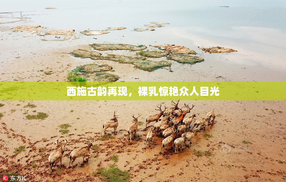 西施古韵再现，裸乳惊艳众人目光