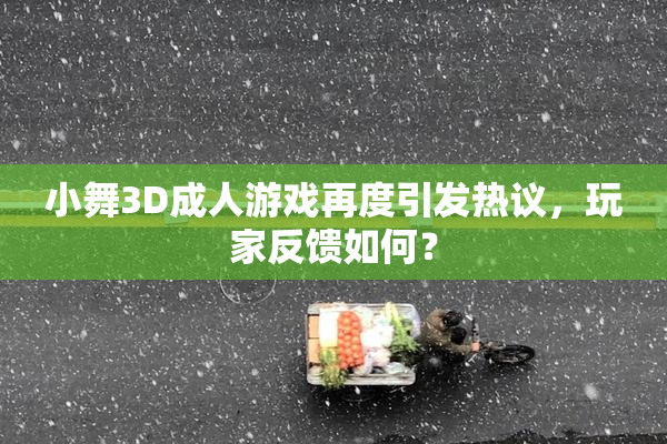 小舞3D成人游戏再度引发热议，玩家反馈如何？