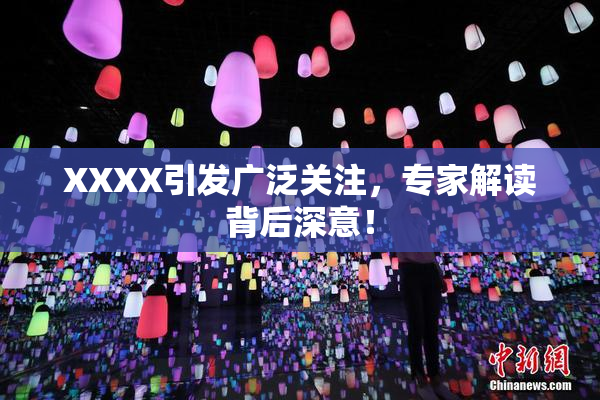 XXXX引发广泛关注，专家解读背后深意！
