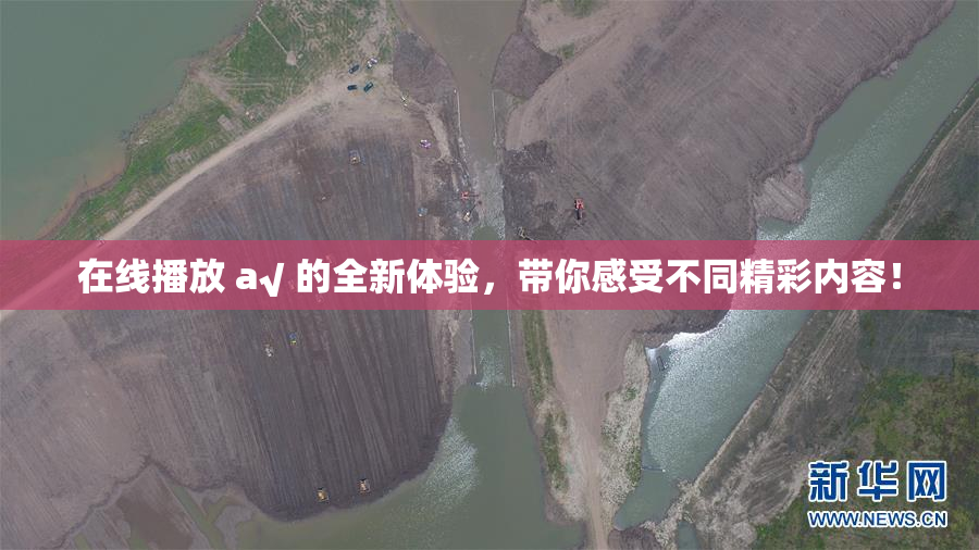 在线播放 a√ 的全新体验，带你感受不同精彩内容！