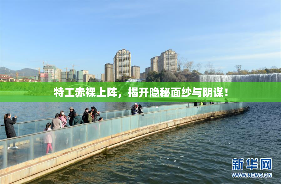 特工赤裸上阵，揭开隐秘面纱与阴谋！