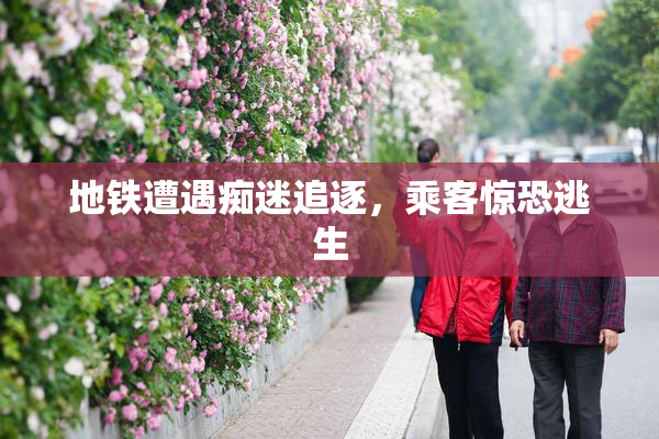 地铁遭遇痴迷追逐，乘客惊恐逃生