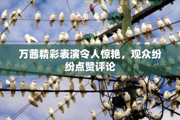 万茜精彩表演令人惊艳，观众纷纷点赞评论