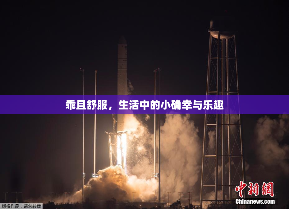 乖且舒服，生活中的小确幸与乐趣