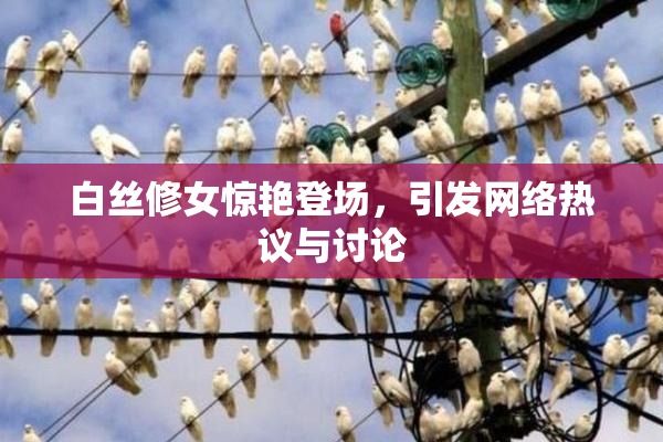 白丝修女惊艳登场，引发网络热议与讨论