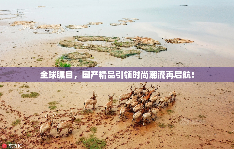 全球瞩目，国产精品引领时尚潮流再启航！