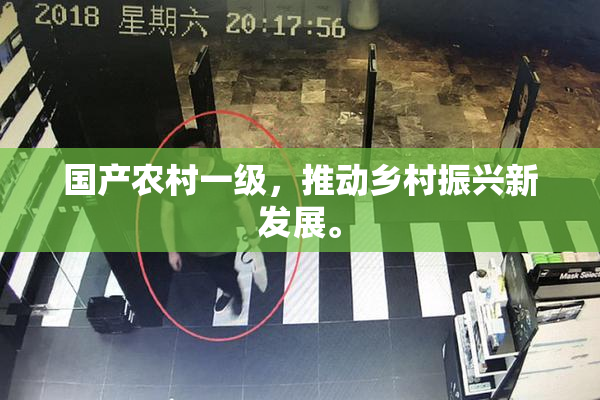 国产农村一级，推动乡村振兴新发展。