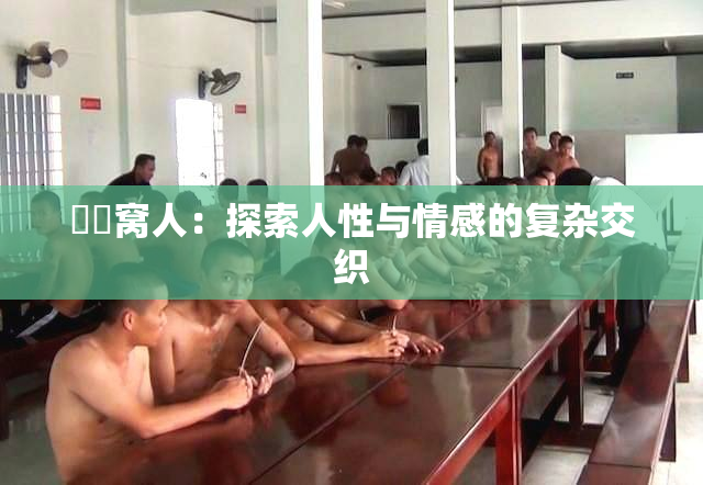 妺妺窝人：探索人性与情感的复杂交织