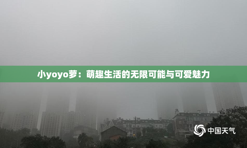 小yoyo萝：萌趣生活的无限可能与可爱魅力