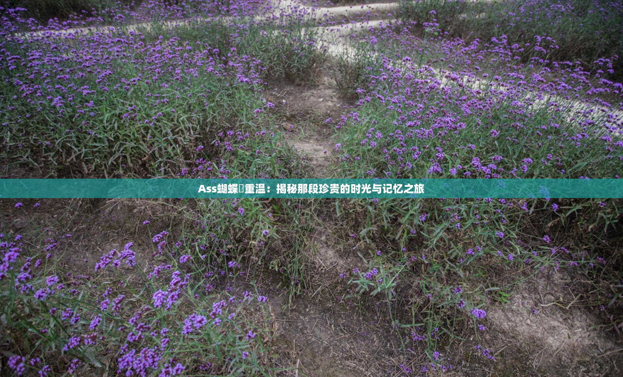 Ass蝴蝶泬重温：揭秘那段珍贵的时光与记忆之旅